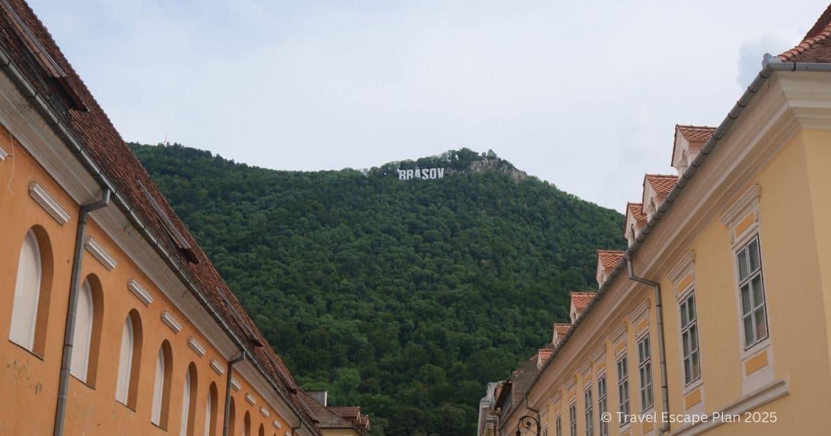 Streetview of the Brasov sign on forested Tampa Mountain