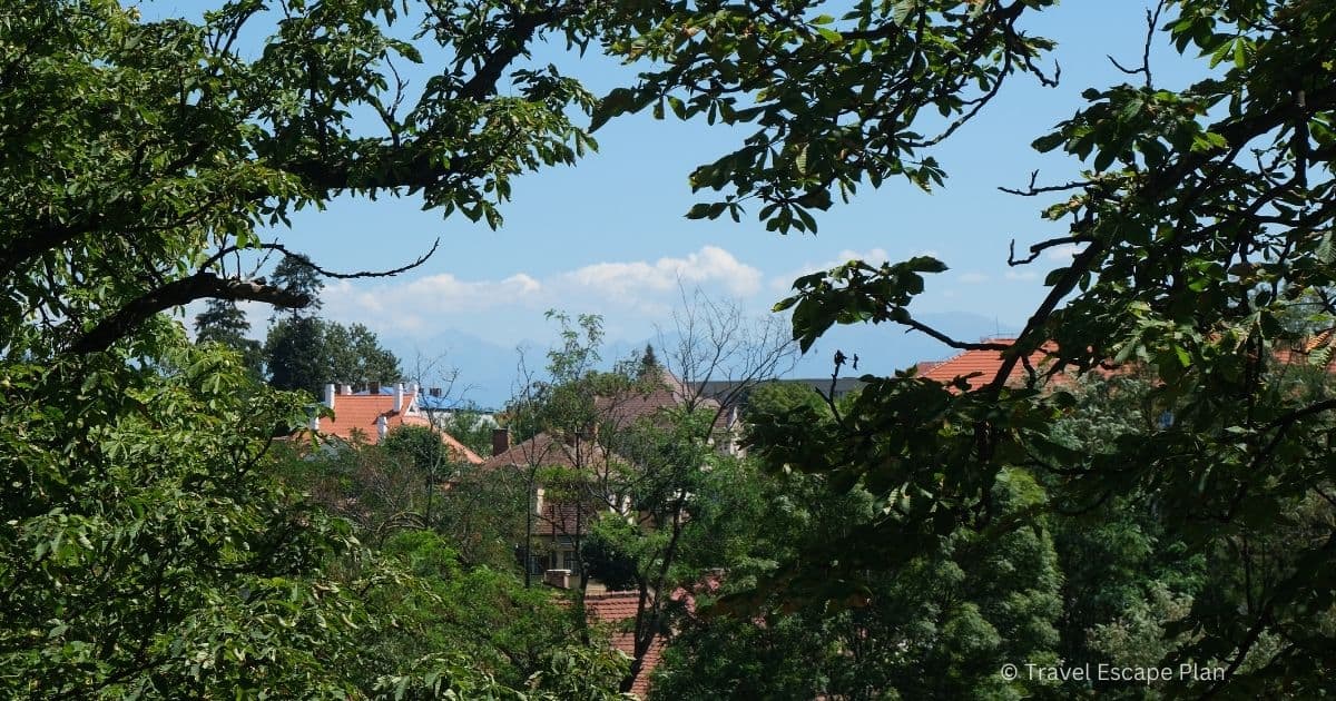 Red rooftops of Sibiu city through a clearing in tree branches
