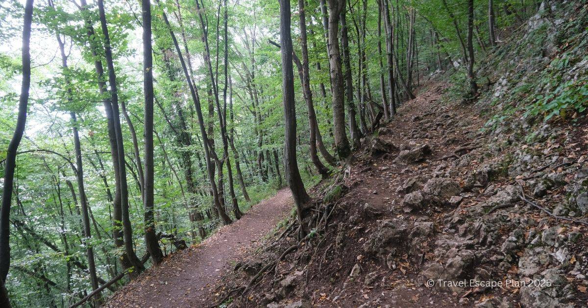 hiking trail through the forest in Romania