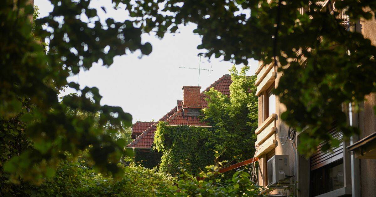 historic building covered in vines in Cotroceni neighbourhood of Bucharest, Romania