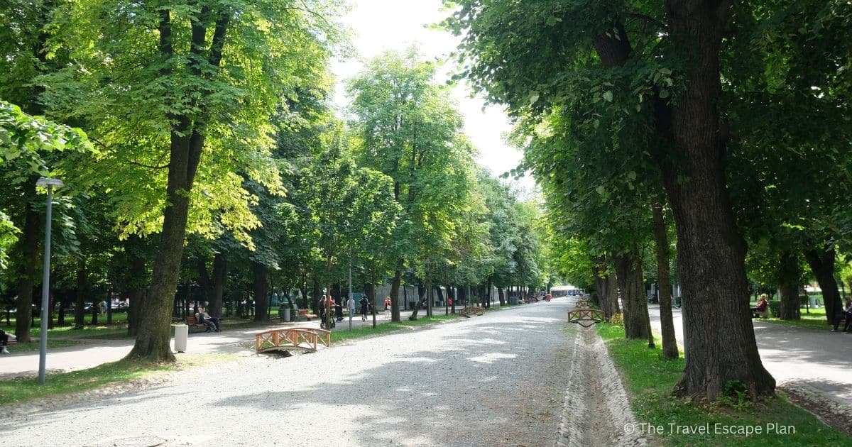 tree-lined pedestrian road leading to Simion Barnutiu Central Park