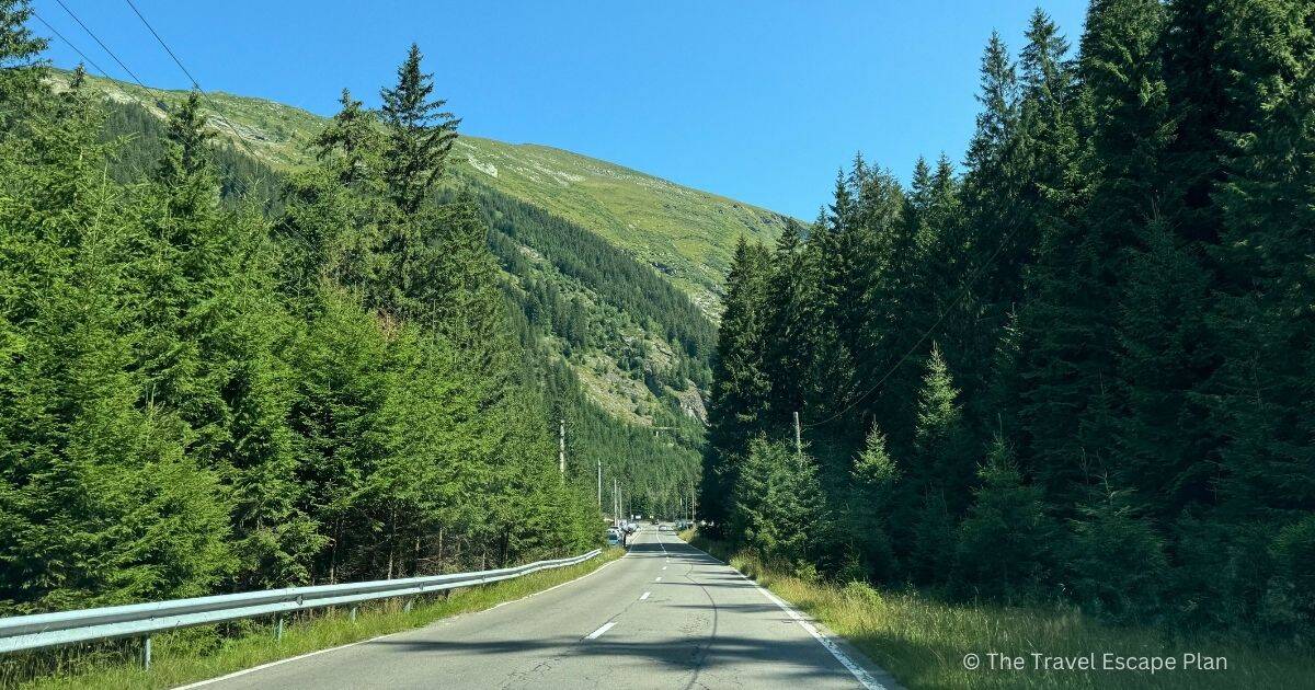 transfagarasan highway through a forested area, leading towards mountains